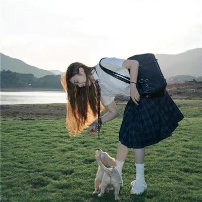 飞哥与小佛第二季
